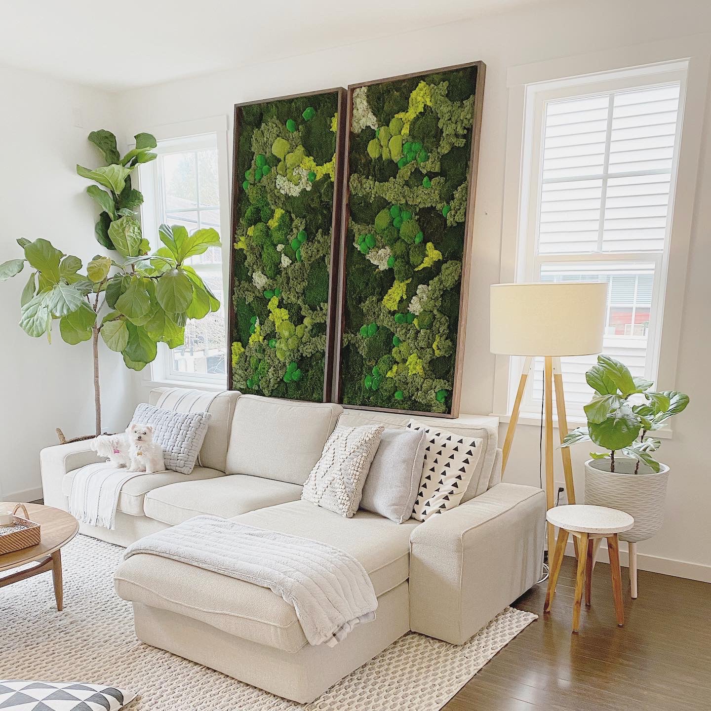 Moss Art: Why It's Such a Beautiful Interior Design Trend – My Store