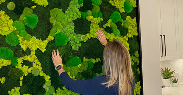 5 Easy Tips on How to Take Care of Your Moss Wall